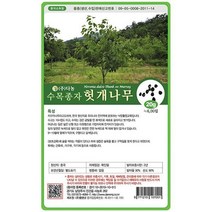 헛개나무씨앗 20g[JK], 단품