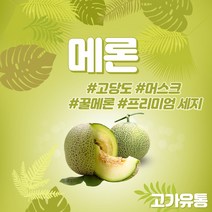 고가유통 / 고당도 프리미엄 메론 머스크 멜론 국내산, 1개(1.5~2kg)