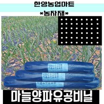 농자재-양파마늘유공비닐/양파비닐/마늘비닐/농업용유공멀칭비닐/텃밭/흑색/비니루, 0.015X180X200흑16구(마늘용 외)