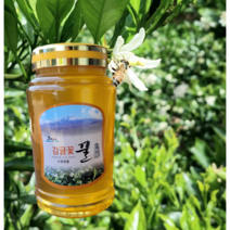 제주 벌꿀 천연 자연꿀 감귤꽃 꿀2.4kg 감귤꿀, 1개