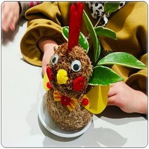 꼬꼬댁 토피어리재료 미니화분 체험학습 공기정화, 원숭이
