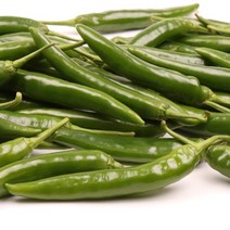 오이고추 5kg 팔팔마켓 안매운 아삭이 풋고추판매, kg