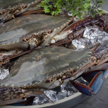 국내산 서해 연평도 활꽃게 생물꽃게 암수 혼합 당일조업 산지직송 빙장포장 2kg 3kg, 진품 냉동 암꽃게 2kg