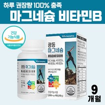 건강 기능 식품 마그네슘 무기질 비타민b1 비타민b2 비타민b6 정 산화 마그네슝 일일 하루 권장량 100% 충족, 3개월 x 3병