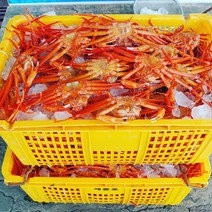 동해안 고급 연지홍게 다 쪄서 보내드리니 바로드셔도 돼용, 연지홍게 5kg(16-18미)
