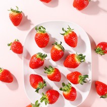최상급 산지직송 설향딸기, 대(24~30구 750g)