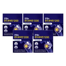 관절엔 콘드로이친1200 60정 관절연골건강, 5개월분