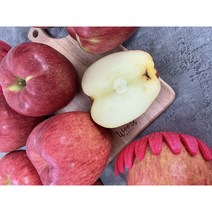경북 당도높은 홍로 사과 양광 부사 가정용 흠집 못난이 꿀사과 3~10kg, 가정용 소과 3kg(15-18과)