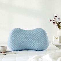 커버가 있는 주니어 메모리폼 베개 블루 45*25.5*7, 블루 커버가있는주니어메모리폼베개