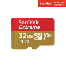 샌디스크 샌드디스크 고성능 샌디스크 샌드디스크 익스트림 마이크로 32GB 32기가