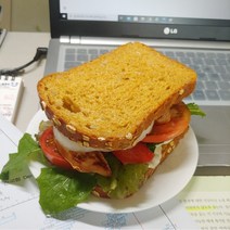 김코치빵 프로틴통밀빵, 100g, 10개