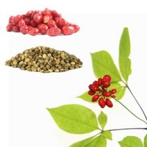 장뇌삼 인삼씨앗 씨앗 인삼씨 재배용 인삼종자 1kg 산양삼 모종 Seed, 단품