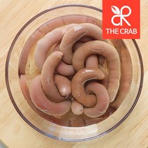 활 개불 5마리 개불회 미끼 낚시용 개불, 개불 소 5마리 (낚시용/중국산)