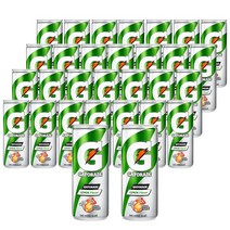게토레이 이온음료 레몬 240ml X 30캔 / 스포츠음료 / 음료수