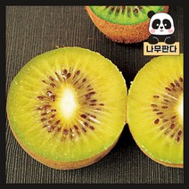 (나무판다) 키위나무 묘목 시리즈, 5. 자가수정키위 솔라시모 접목1년