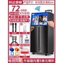 노래방기계 블루투스 캠핑용 차량용, D