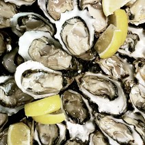 통영 새우 조개 왕우럭조개 털게석화굴구이, 1box, 하프셀2단