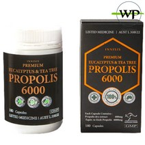 시니케어 이니시스 프로폴리스 유칼립투스 티트리 6000mg 180정