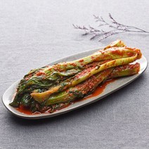 [KT알파쇼핑][반장마켓] 여수노반장 여수돌산갓김치 1kg 국내산100% 외 기타김치, 백김치 1kg