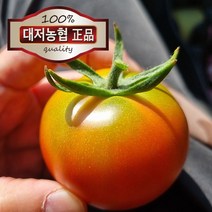 대저토마토 당일수확 당일배송 정품인증 정직한 가격 2.5kg (소과), 대저토마토 정품(소과) 2.5kg