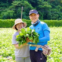 강원도 정선 건곤드레 냉동곤드레 마른 말린 곤드레 나물 건나물 500g, 600g