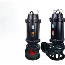 가정용 220V 소형 잠수정 정화조 고전력 하수 펌프, 750W 2인치 주문 전압