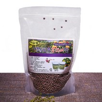 산지직송 정동 토종 홍화씨환 대용량 리필용 500g