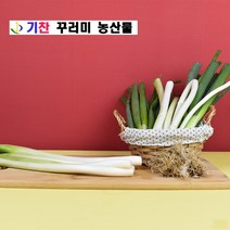기찬꾸러미농산물 국내산 손질 햇 대파 1kg, 1개