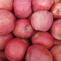 문경사과 환영농장 꿀 부사(미얀마) 사과즙 고지대 고당도 제철 겨울 사과 새콤 달콤 50/100포, 환영농장의 홍로주스100포