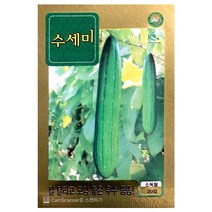 수세미씨앗 20알 수세미 씨앗 종자