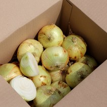 항채원 달큰아삭 신선한 국내산 햇양파 특대(350g이상) 당일선별 망포장 오늘출발, 1개, 대5kg