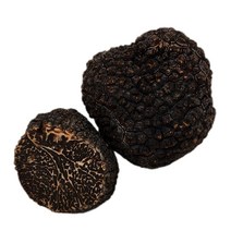 송로버섯 생트러플 블랙트러플, 40g(버건디)