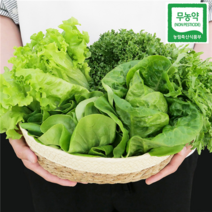무농약 친환경 고급 유럽 샐러드채소 모듬쌈채소 1kg, 유럽 쌈야채 1kg (4~5종 랜덤), 1개