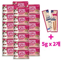 동원캔 뉴트리플랜 고양이캔 160gx24개(1BOX) +닭가슴살(로얄)2개, 24개입(1BOX), 흰살참치와 연어+네츄럴스틱5gx2개