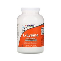 나우 푸드 L 라이신 파우더 454g 엘 리신 Lysine, 1개, 기본