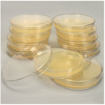 오피스안 LB Agar Plate 90mm SN 대장균배양배지 pack 10ea