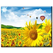 SHEXIU 3D 원형 보석십자수 키트 일체형 캔버스 액자 50 x 40 cm, AE024  열기구와 해바라기x1세트, 1개