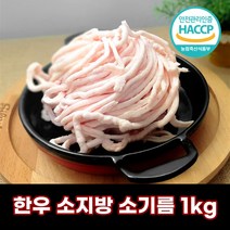 디에스미트 한우 소지방 소기름 1kg 우시산한우 냉동, 단품