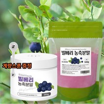빌베리 파우더 추출물 농축분말 가루 눈영양제 BILBERRY 시력에좋은음식 눈건강 루테인 효능, 빌베리 농축분말 500g 2팩