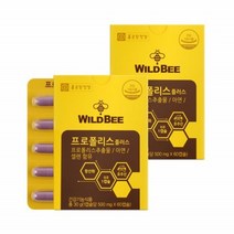 종건당건강 호주산 비 프로폴리스 추출물 면역력에좋은영양제 500mg 60캡슐 2박스, 상세페이지 참조, 상세페이지 참조, 상세페이지 참조, 상세페이지 참조, 상세페이지 참조