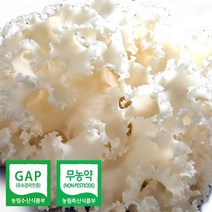 국내산 무농약 생 꽃송이버섯 1kg 먹는법 효능 베타글루칸 풍부