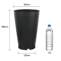 48cm 큰 화분 높은 식물 산세베리아 타이거하니 여인초 키우기, 화이트