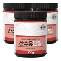케이웰니스 국내산 산수유분말 250g x 3, 3개, 단품