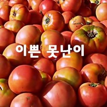 (인빌푸드)녹차골 못난이 토마토(쥬스용) 10kg, 단품