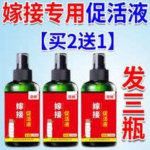 상처 나무 식물 도포제 가지 과수원 영양제 전정 수목, 3병