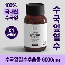 이상한약방 수국잎 열수 추출물 프리미엄 정 60알 2개월분 식용 분말 가루, 60정*2개월분