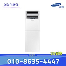 삼성전자 30평 스탠드 냉난방기 AP110RAPPBH1S 대전 세종 청주