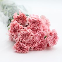 핑크 카네이션 1단 20송이 생화택배 (고속터미널꽃시장 직배송) 꽃예꽃, 카네이션 20송이, 며칠 기다렸다가 꽃 입고 되는대로 발송, 금~일요일 구매시 (화요일 도착)