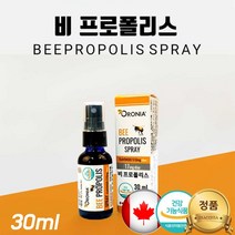 캐나다 포르폴리스 비 프로폴리스 플라보노이드 함량 1 7 mg 항산화 약 x 효과 스프레이 뿌리는 프로폴리스 bee propolis spray 환절기 구강 관리 청결 영양제