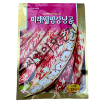 국산 얼룩 강낭콩 씨앗 25g 비덩쿨형 토종 알록강낭콩 종자 학교준비물로 으뜸 미래종묘, 1개